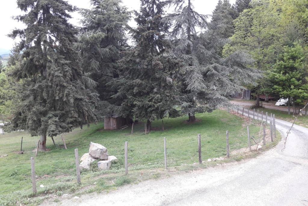 Gite Le Pilat Vernoux-en-Vivarais Exterior foto
